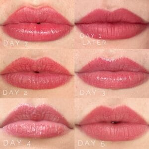 How To Choose the Best Permanent Lip Color for You