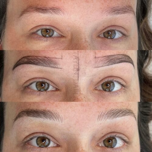 Steps of brow mapping