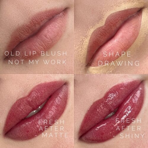 Lip Blush Glossy and Matte
