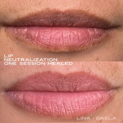 Healed Lip Blush Tattoo Daela Cosmetic Tattoo