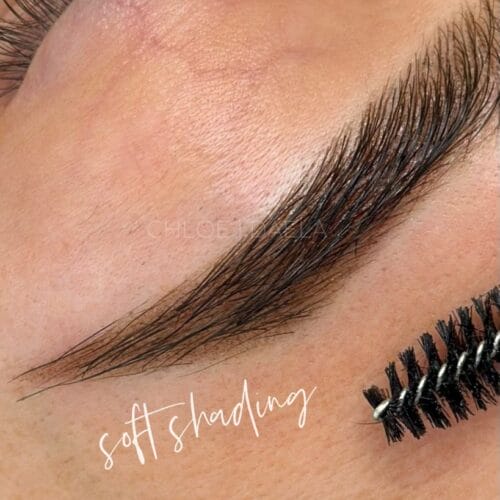 Ombre Powder Brows at DAELA Scottsdale