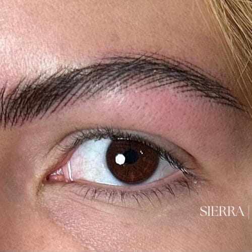 Machine Nano Brows at DAELA Scottsdale by Sierra