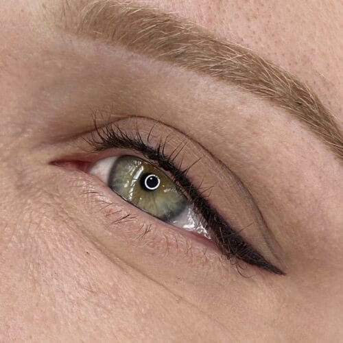 Unveiling the Eyeliner Tattoo Process