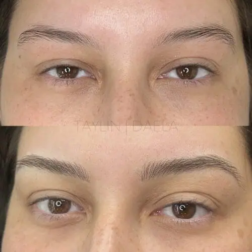 What are the Different Brow Tattoo Techniques?