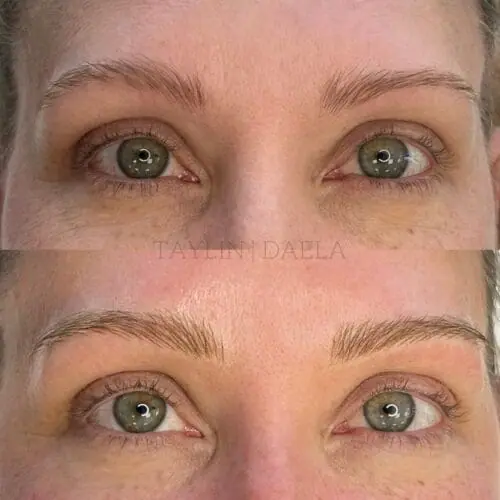 What are the Different Brow Tattoo Techniques?