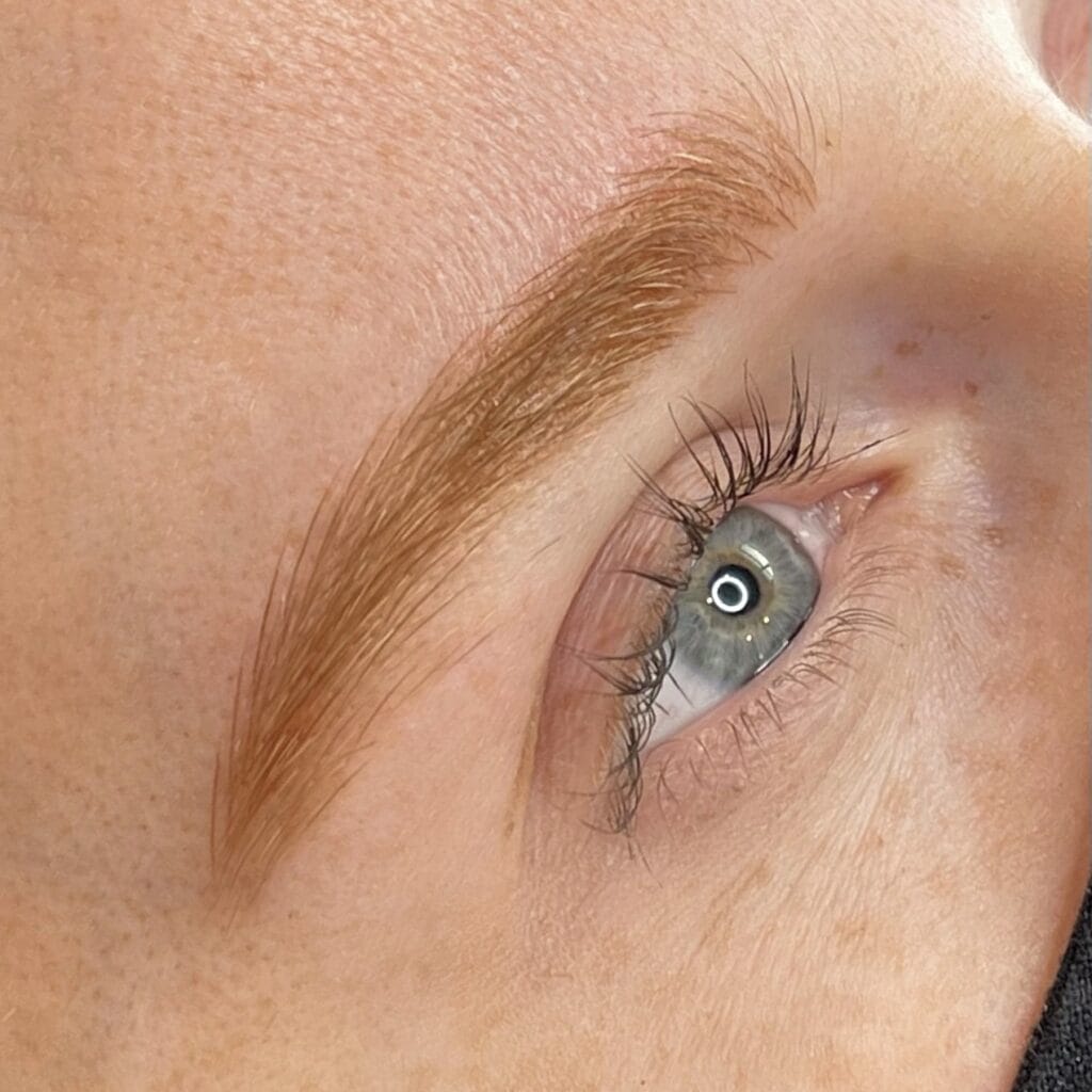 Redhead PMU Brows at DAELA